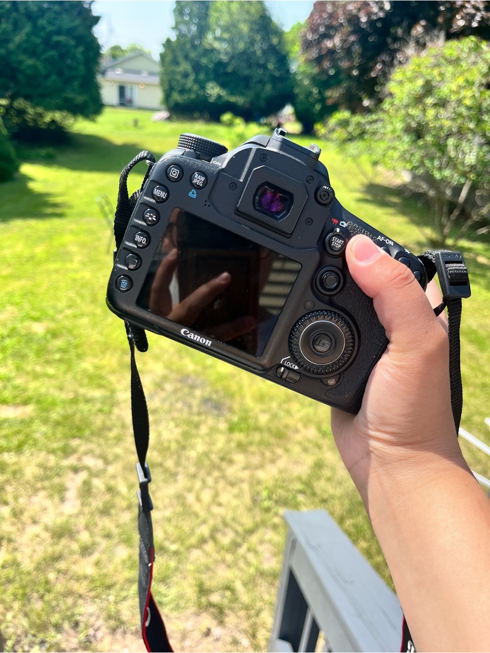 Canon Black DSLR Camera Body with Rear LCD